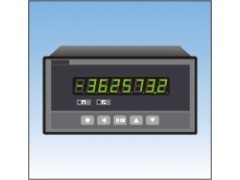 XSN智能計數(shù)器 北京瑞斯派克儀器儀表科技發(fā)展中心的技術開發(fā)與供應